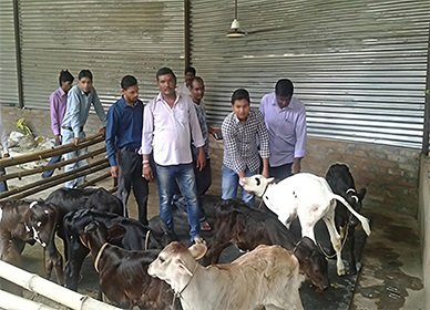 top ngo in india