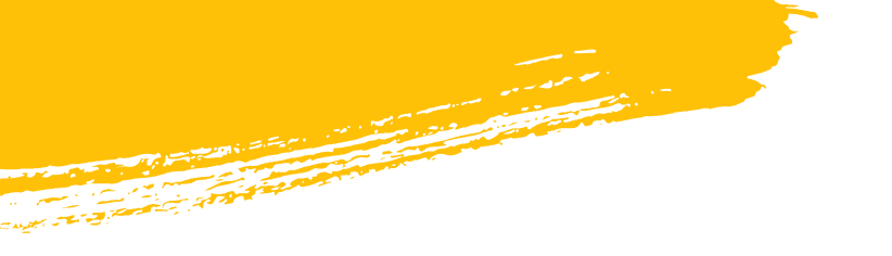 top ngo in india