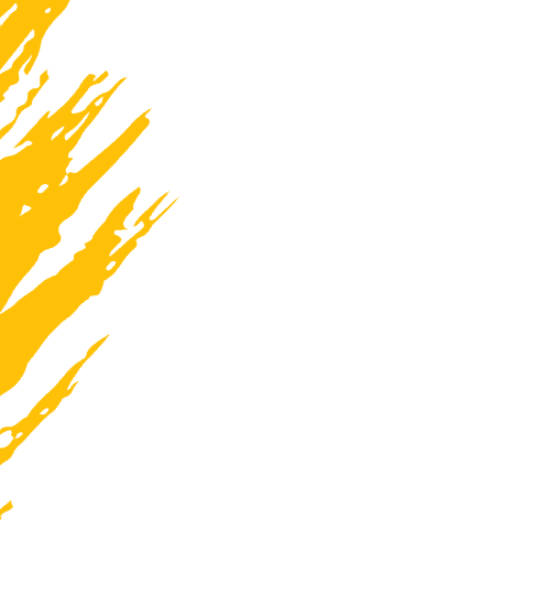 best ngo in india